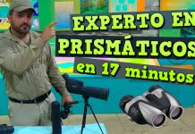 Experto en Prismáticos en 17 minutos